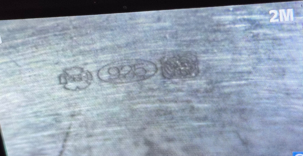 A close-up of he hallmark as seen through a magnifier